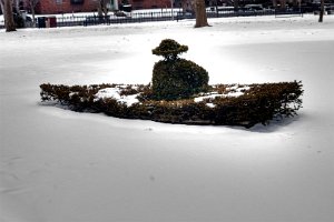 Topiaries